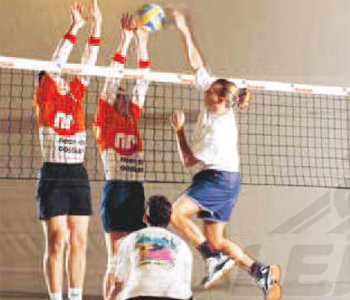 Filets_de_volley-ball